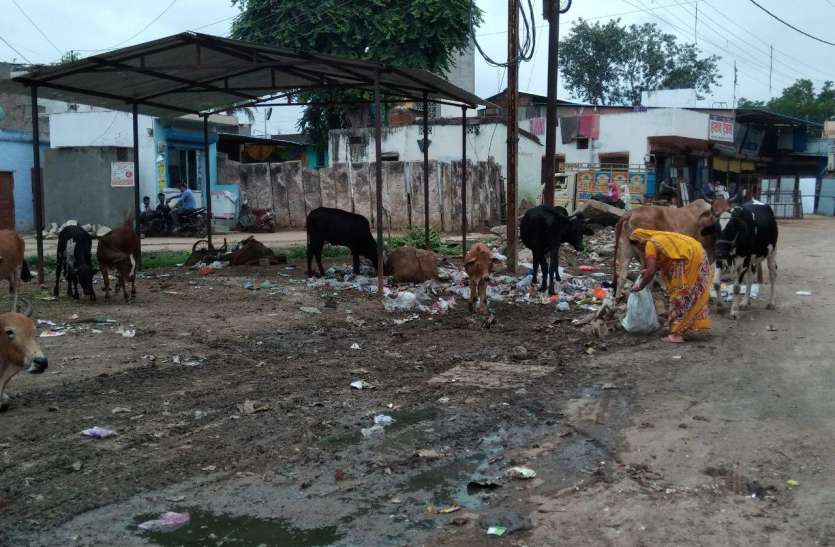 patrika कागजों में ये कौन सा प्लान बनाया, जिससे आ रही शहर में बदबू