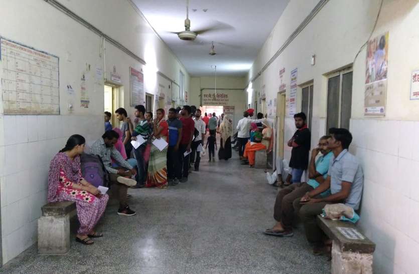 Seasonal diseases increased even after less rain, 9 thousand patients कम बरसात फिर भी बढ़ी मौसमी बीमारियां, 9 हजार मरीज बढ़े