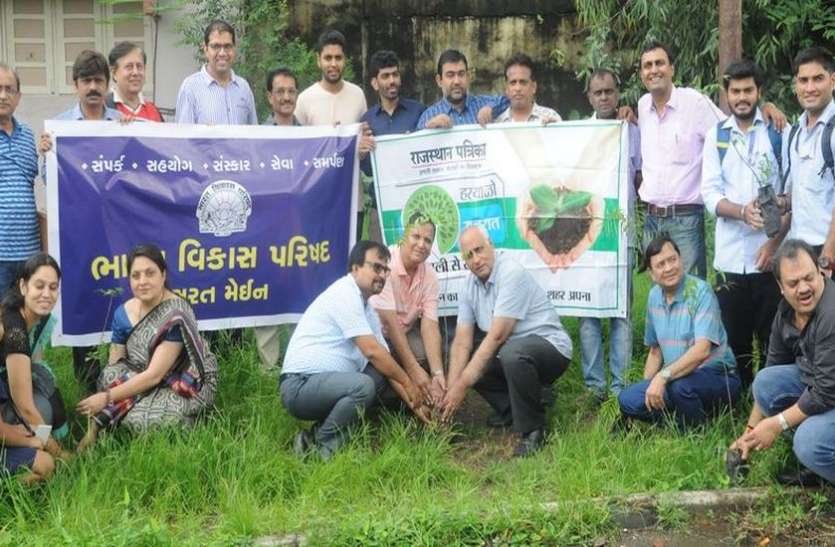 patrika पेड़ों से ही आएगी खुशहाली