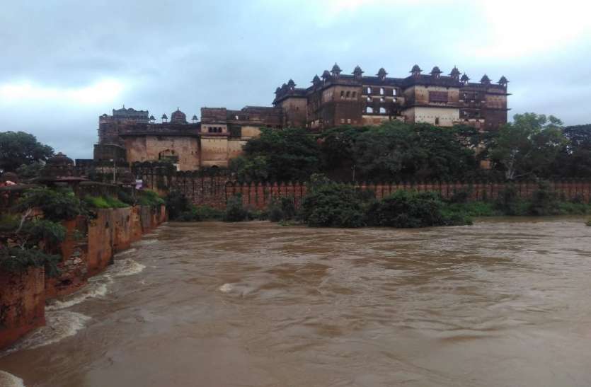Things like flooding in tourism city orchha ओरछा में 20 वर्ष बाद देखा ऐसा पानी, जन-जीवन प्रभावित