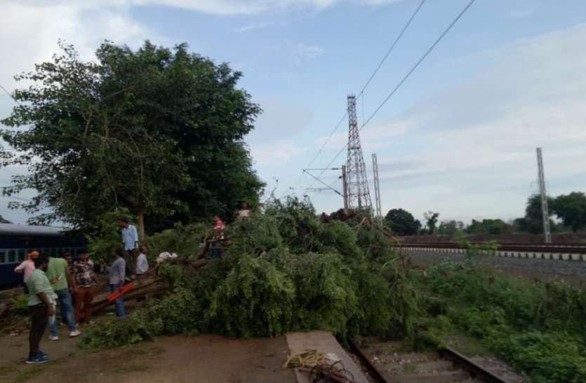 tree आंधी के कारण जसवंतनगर मे रेलवे लाइन पर पेड़ टूट कर गिरा, पावर सप्लाई लाइन टूटी