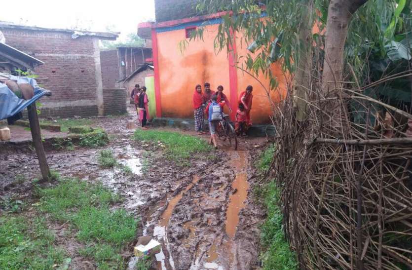 Dirt and garbage make trouble गंदगी व कचरा बना परेशानी का सबब