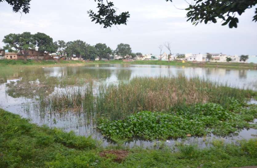 cg news तालाबों को बचाइए