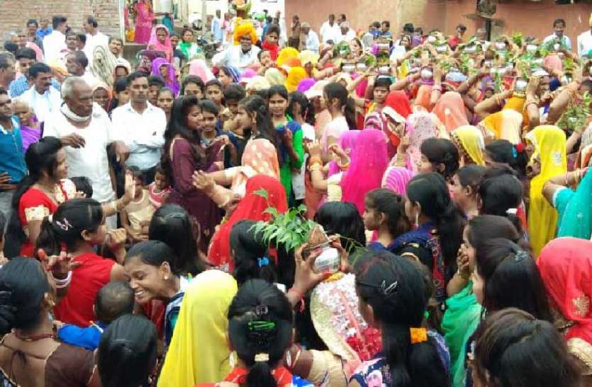 dhoomadhaam se manaee dharaneedhar jayantee धूमधाम से मनाई धरणीधर जयंती