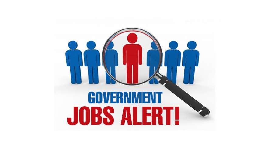 Latest Govt Jobs इन 8 सरकारी विभागों में निकली बंपर भर्तियां, तुरंत करें अप्लाई