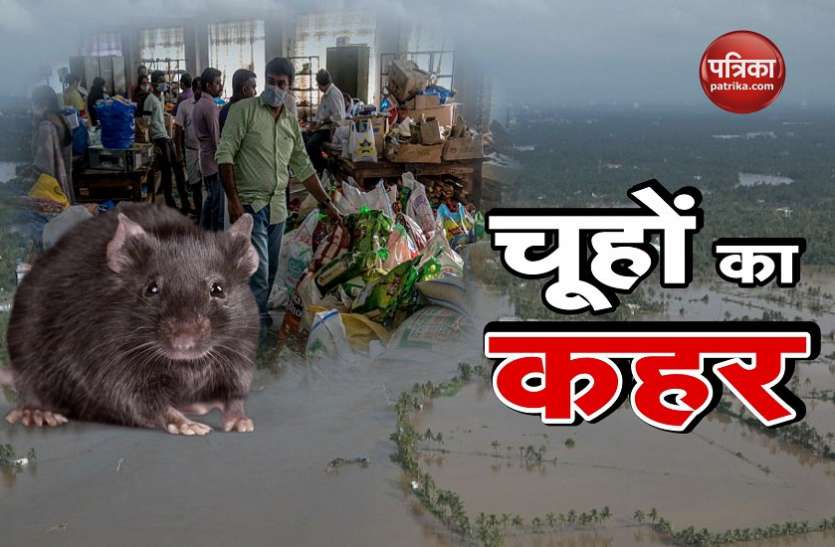 Rat केरल: खतरनाक बुखार से 15 लोगों की मौत, 13 जिलों में अलर्ट जारी