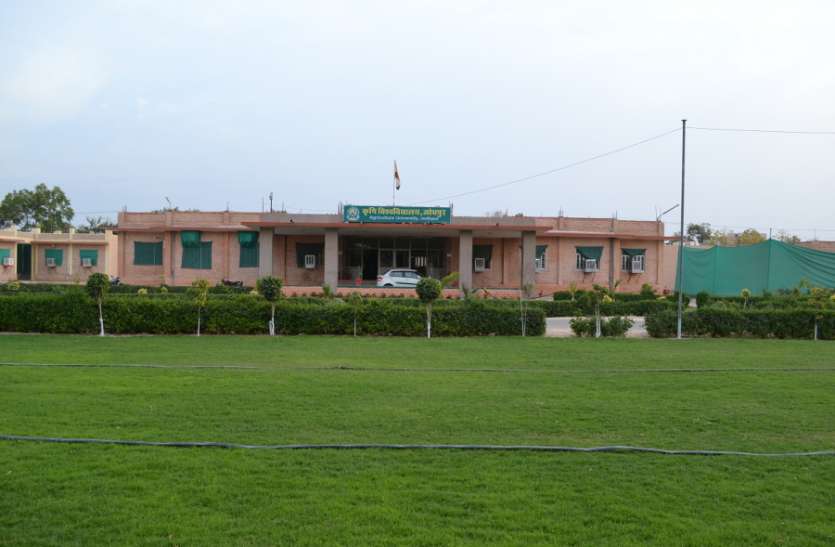 jodhpur लूणी बनेगा 'स्मार्टÓ गांव