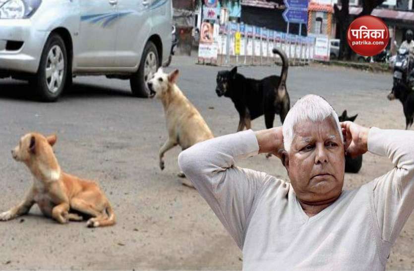 Lalu डॉग्स के भौंकने और शौचालय की बदबू से परेशानी में लालू, पेइंग वार्ड में शिफ्ट करने की मांग