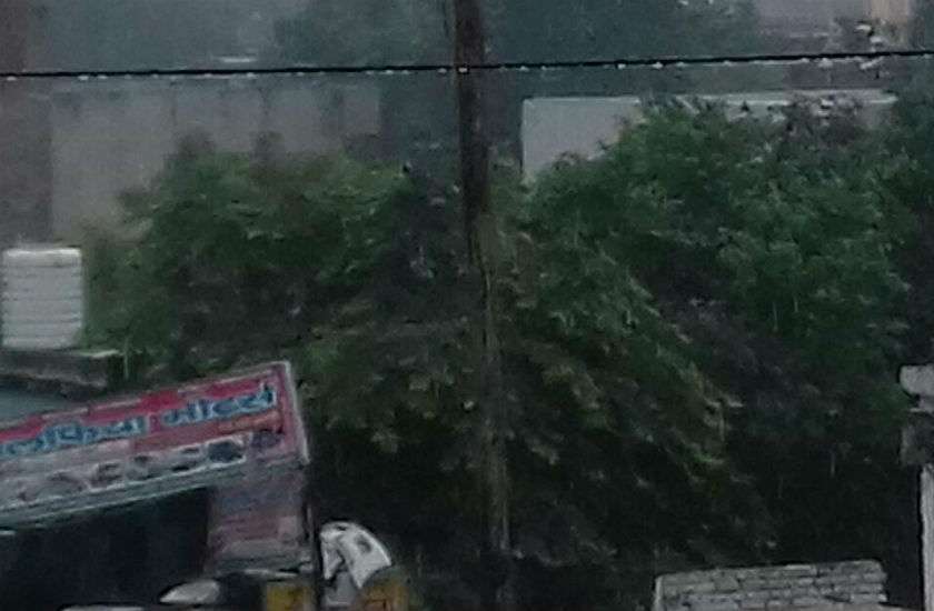 rain