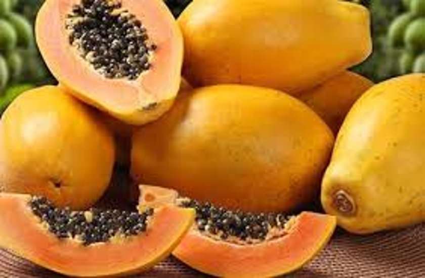 papaya papaya