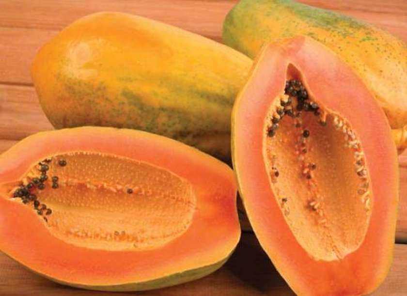 papaya papaya