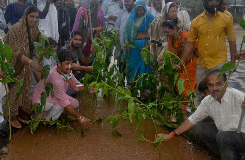 plant कांग्रेसियों ने ली सुध, सड़कों को सुधारने उठाया ये कदम