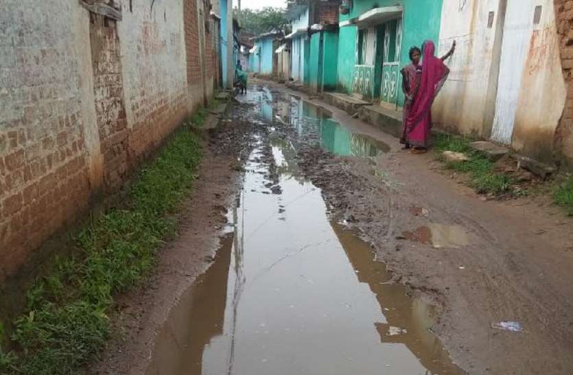गलियां कीचड़ से सराबोर गौरव ग्राम की सड़कों का ऐसा है हाल, पैदल चलने से भी कतराते हैं ग्रामीण