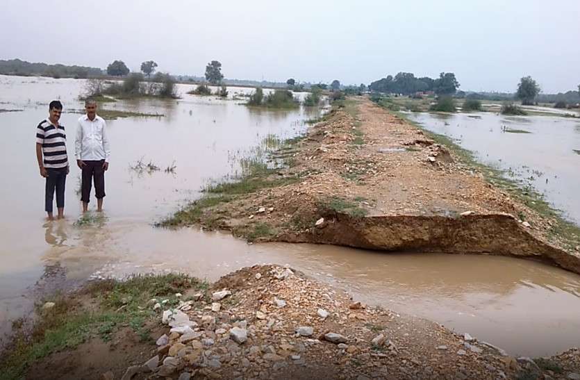 rain दौसा में पौने तीन इंच बारिश, कई तलाईयां टूटी, एनिकटों पर चली चादर, राजस्थान में ‘भारी से भारी’ बारिश की चेतावनी