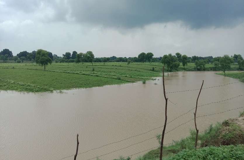 heavy rain in uttar pradesh बादलों की रहमत इन फसलों के लिए पड़ रही भारी, अन्नदाताओं में छाई निराशा