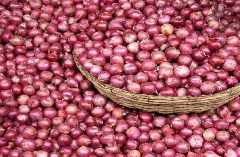 Famous Onion Of Alwar Exports In Many Countries इस बार भी प्याज राजस्थान के किसानों के घर लाएगा खुशहाली, विदेशों तक है इस जिले के प्याज की मांग