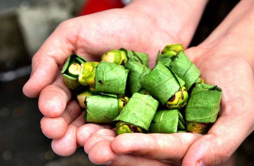 betel nuts benifits स्किन एलर्जी से जुड़ी हर समस्या को दूर कर देगा सिर्फ ये एक उपाय