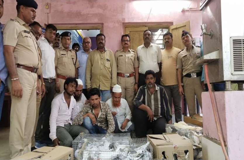 surat photo ताप्ती गंगा एक्सप्रेस से पांच जनों को चार सौ कबूतर के साथ पकड़ा