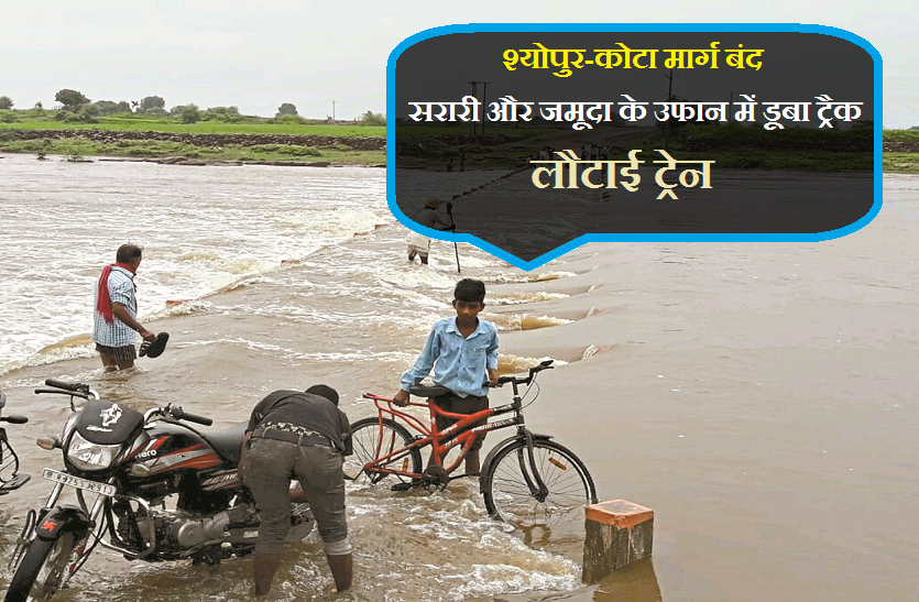 barish in mp बड़ी खबर : श्योपुर-कोटा मार्ग बंद, सरारी और जमूदा के उफान में डूबा ट्रैक, लौटाई ट्रेन, देखें वीडियो
