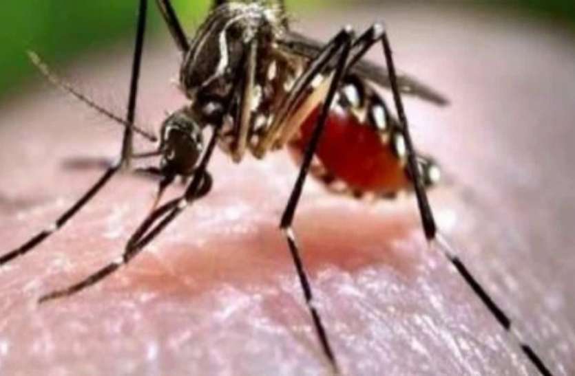 cg news कसूरवार कौन?