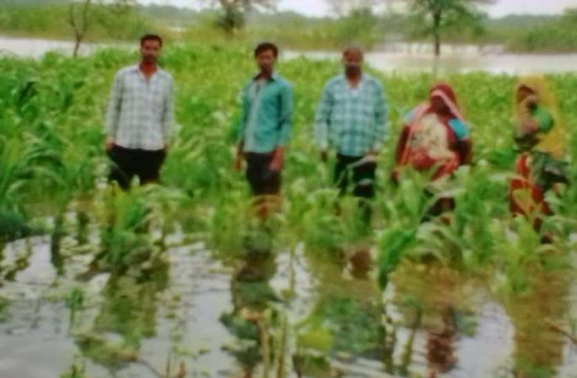 PATRIKA खेत में भर गया रैवा डेम का पानी