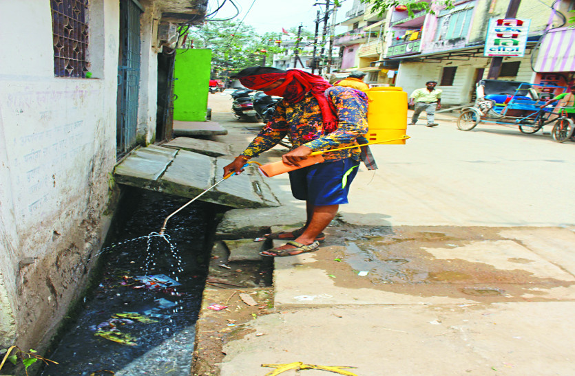 dengue 16 दिन में 230 लोगों की जांच, 64 मिले डेंगू से पीडि़त, हर रोज भर्ती हो रहे 4 मरीज