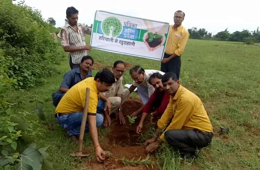 Planting more than a hundred plants, taken care of the care एक सैंकड़ा से अधिक पौधे रोपे, लिया देखभाल का संकल्प