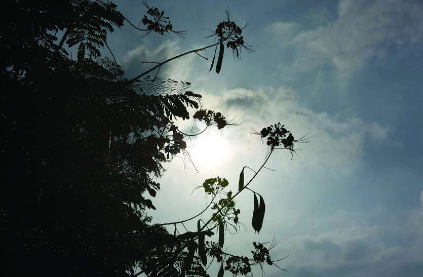 season आसमान साफ होते ही रात में गिरेगी ओस, इस बार जल्द शुरू हो जाएगी गुलाबी ठंड