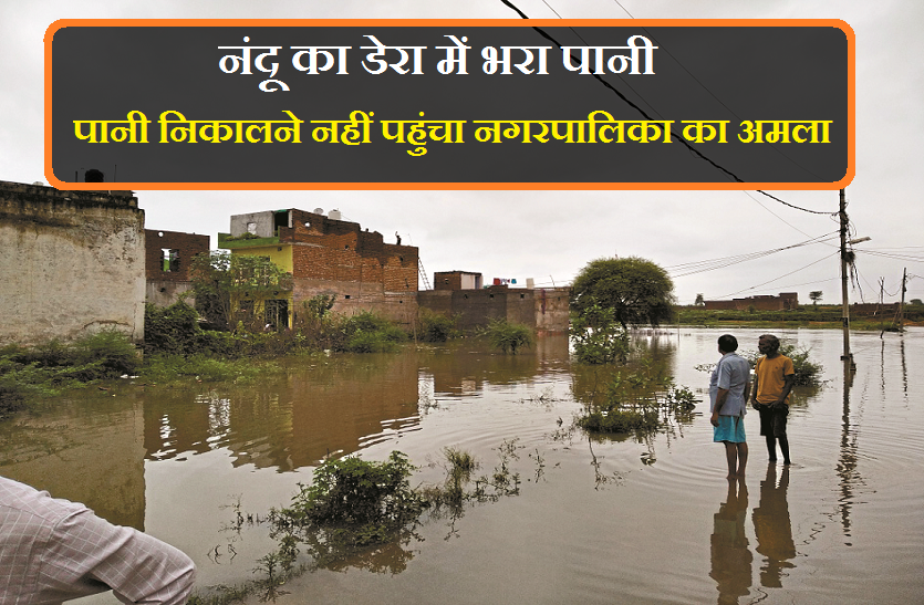 heavy rain in mp नंदू के डेरा में पानी ने मचाई तबाई,कईं घर डूबे,देखे वीडियो