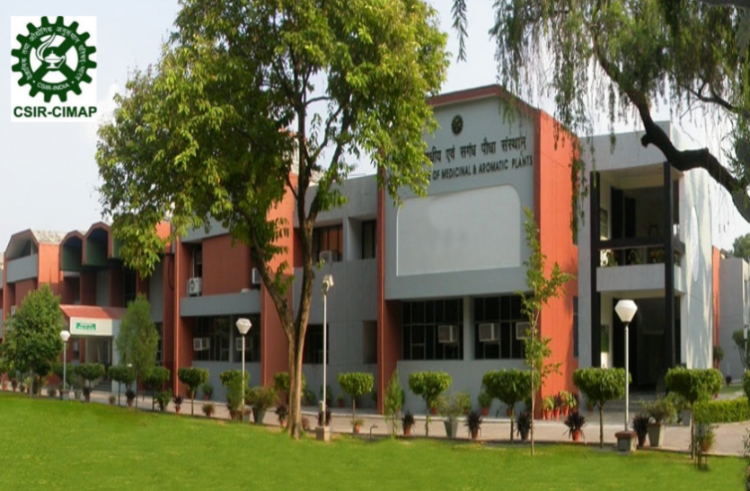 csir CIMAP CSIR में प्रोजेक्ट मैनेजर व प्रोग्राम एडमिनस्टेटर के पदाें पर भर्ती, करें आवेदन