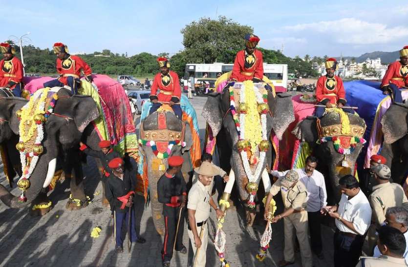 dasara मैसूरु दशहरा महोत्सव: महावत, सहायकों के लिए भी विशेष होता है आयोजन