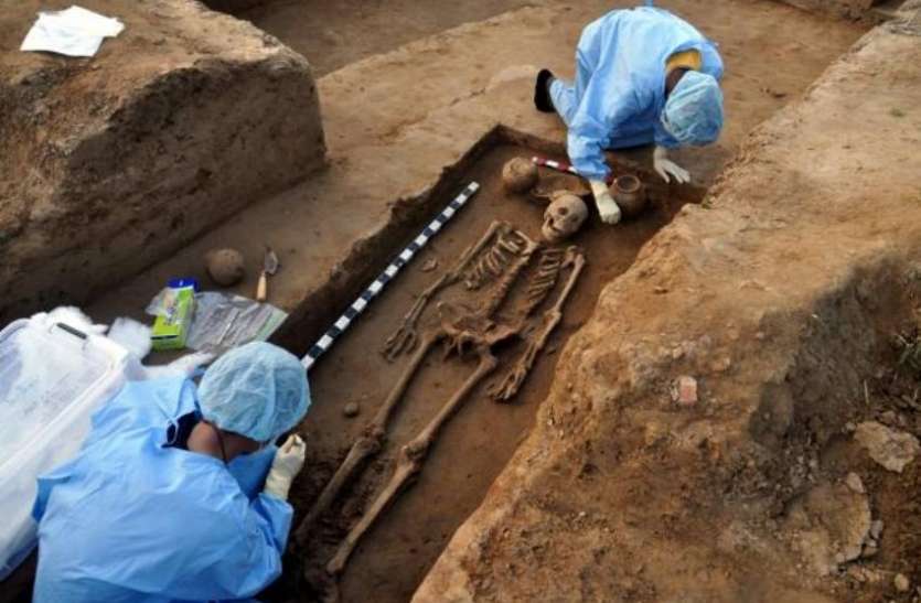 Skeleton खुदाई में मिला साढ़े चार हजार साल पुराना मानव कंकाल, डीएनए टेस्ट में हुआ चौंकाने वाला खुलासा
