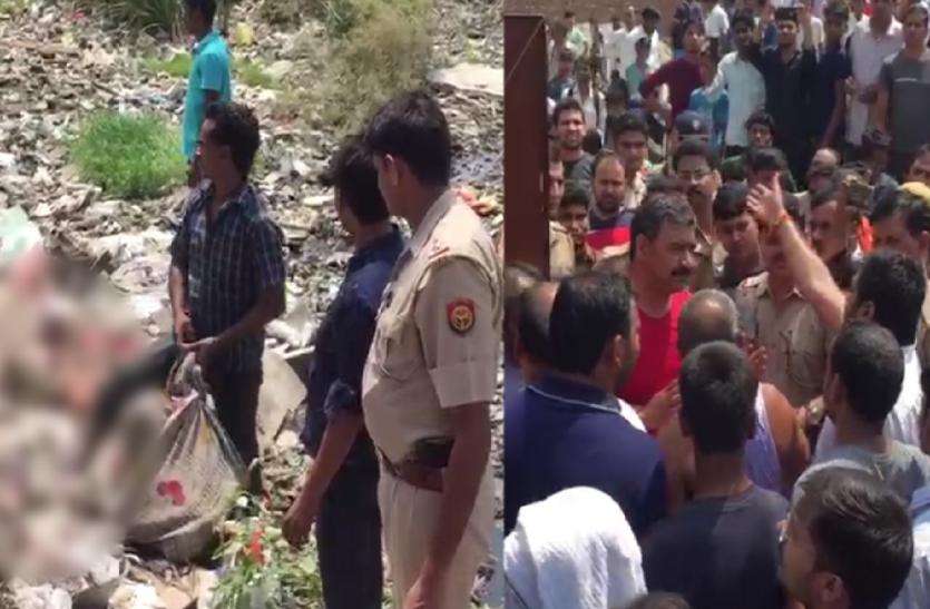 noida news कचरे के ढेर में मिला गोवंश का सिर, इस हाल में मिले बाकी हिस्से देखते ही भड़क गए लोग किया हंगामा