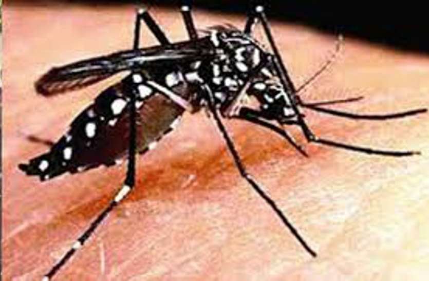 Raid on 718 units on fear of mosquitoes breeding मच्छरों की ब्रीडिंग की आशंका पर 718 इकाइयों पर छापे