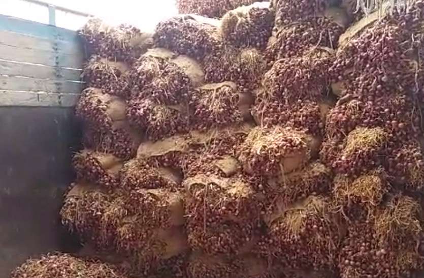 Alwar waiting for onion market since 15 years 15 साल पहले राजस्थान में यहां हुआ था इस मंडी का शिलान्यास, लेकिन अब तक जो रही है धरातल पर आने की बाट