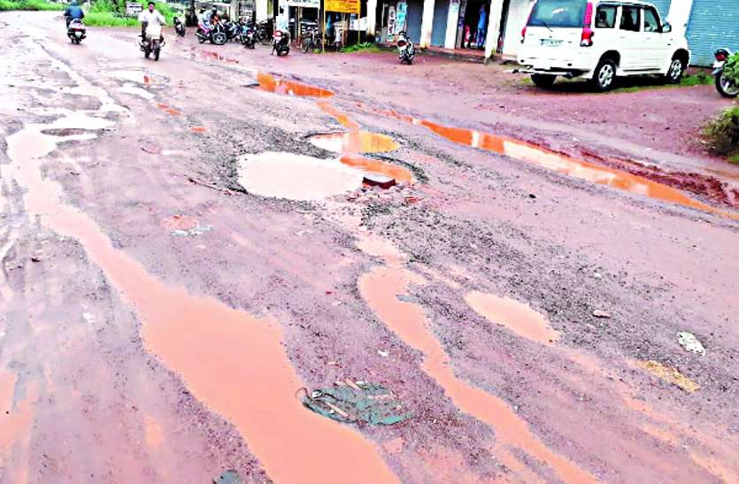 system सरकार गा रही विकास का गान, दूसरी ओर सालों से सड़क की मांग कर रहे ग्रामवासी