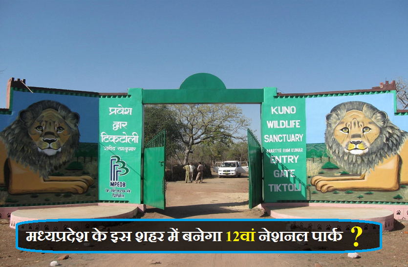 12th National Park Kuno Sanctuary मध्यप्रदेश के इस शहर में बनेगा 12वां नेशनल पार्क ?