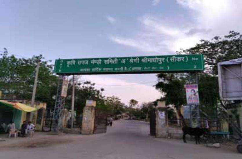 sikar चुनावी सीजन में सुध ली किसानों की