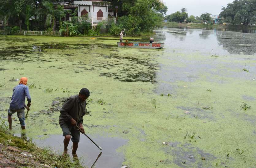Then the cleanliness of the pond started the water will be clean फिर होने लगी तालाब की सफाई, स्वच्छ होगा जल तो मिलेगा सभी को फायदा