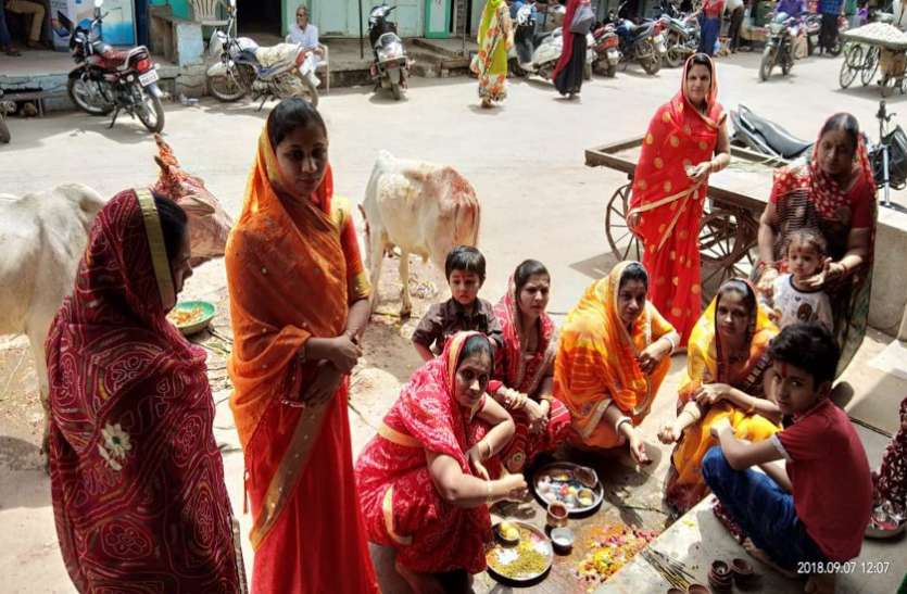 aa बछ बारस पर्व पर की गाय के बछड़ों की पूजा