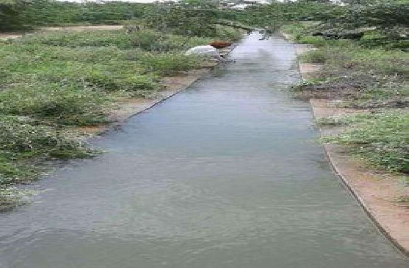 dead bodies of man and woman found in Jalore canal गुजरात से नर्मदा नदी में बहकर राजस्थान पहुंचे महिला पुरुष के शव, दो दिन में दूसरा मामला