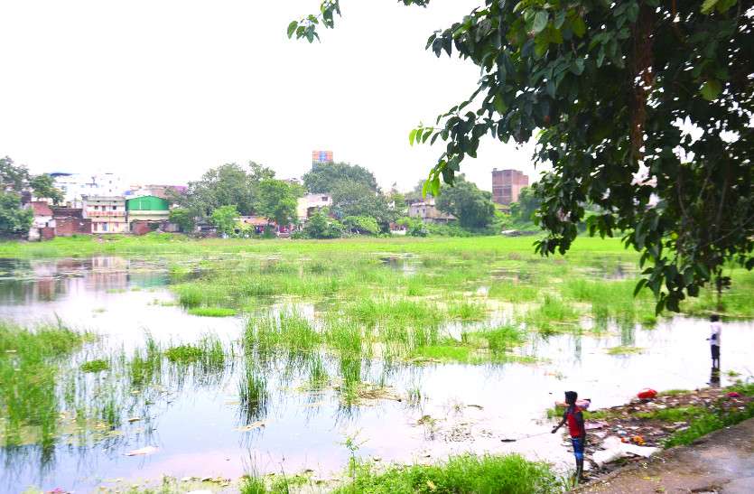no water in pond बदहाली और अव्यवस्था के कारण डबरी में तब्दील हुआ शीतला तालाब