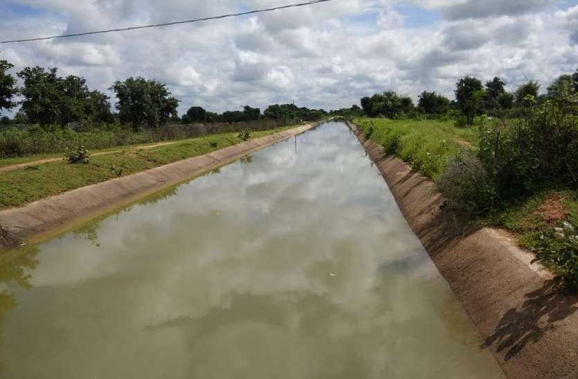 8 ponds full of canal project हरपुरा नहर परियोजना से भरे 8 तालाब, कुम्हेड़ी तालाब में पहुंचा पानी