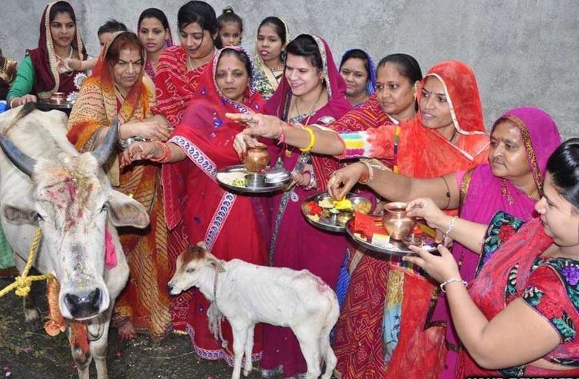 patrika महिलाओं ने गाय-बछड़े को पूजा