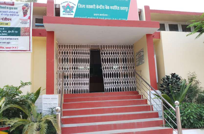 Corruption charges Co operative Maha scam probe decreases सहकारिता महाघोटाले की जांच होने से पहले ही बहाल होने लगे भ्रष्टाचारी