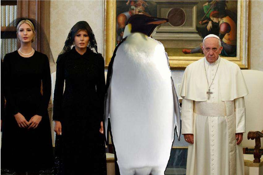 penguin
