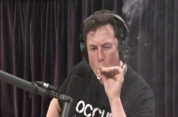 elon musk elon musk