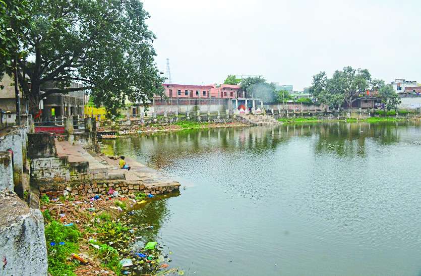 polluted water तालाब के सौंदर्यीकरण पर निगम ने खर्च किए लाखों, फिर भी पानी के अभाव में मर रही मछलियां