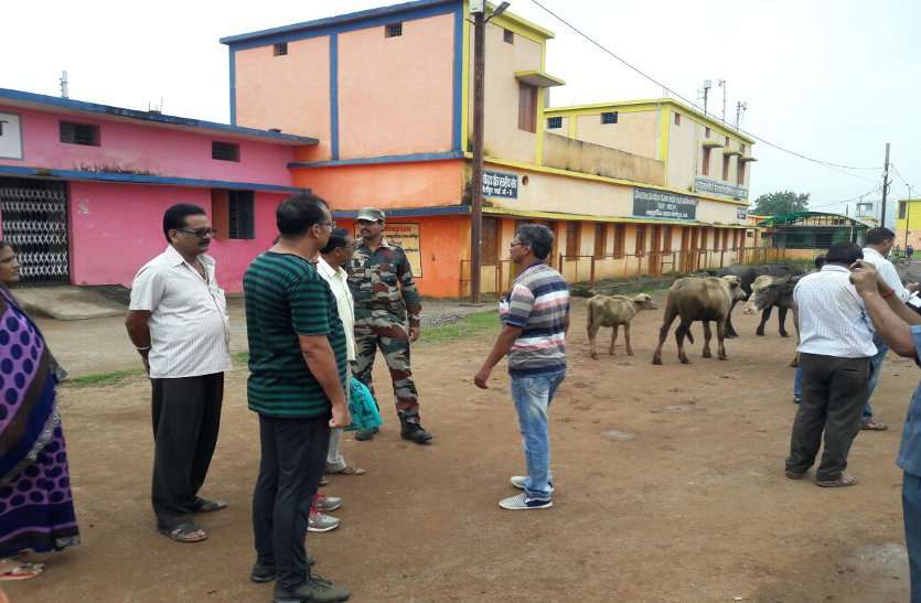 system स्कूल कैंपस में भैंसों का झुंड देख कलक्टर ने कहा, ये भैंसों का स्कूल है क्या?