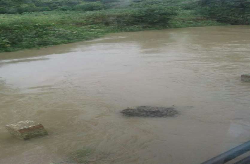 barish कौड़ी नदी फिर उफान पर, रायसेन का सांची और विदिशा से संपर्क टूटा